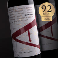 VIK "A" Carmenere 2021 - 750 ml